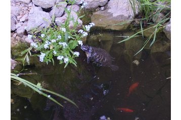 Slowakije Privát Povoda, Exterieur